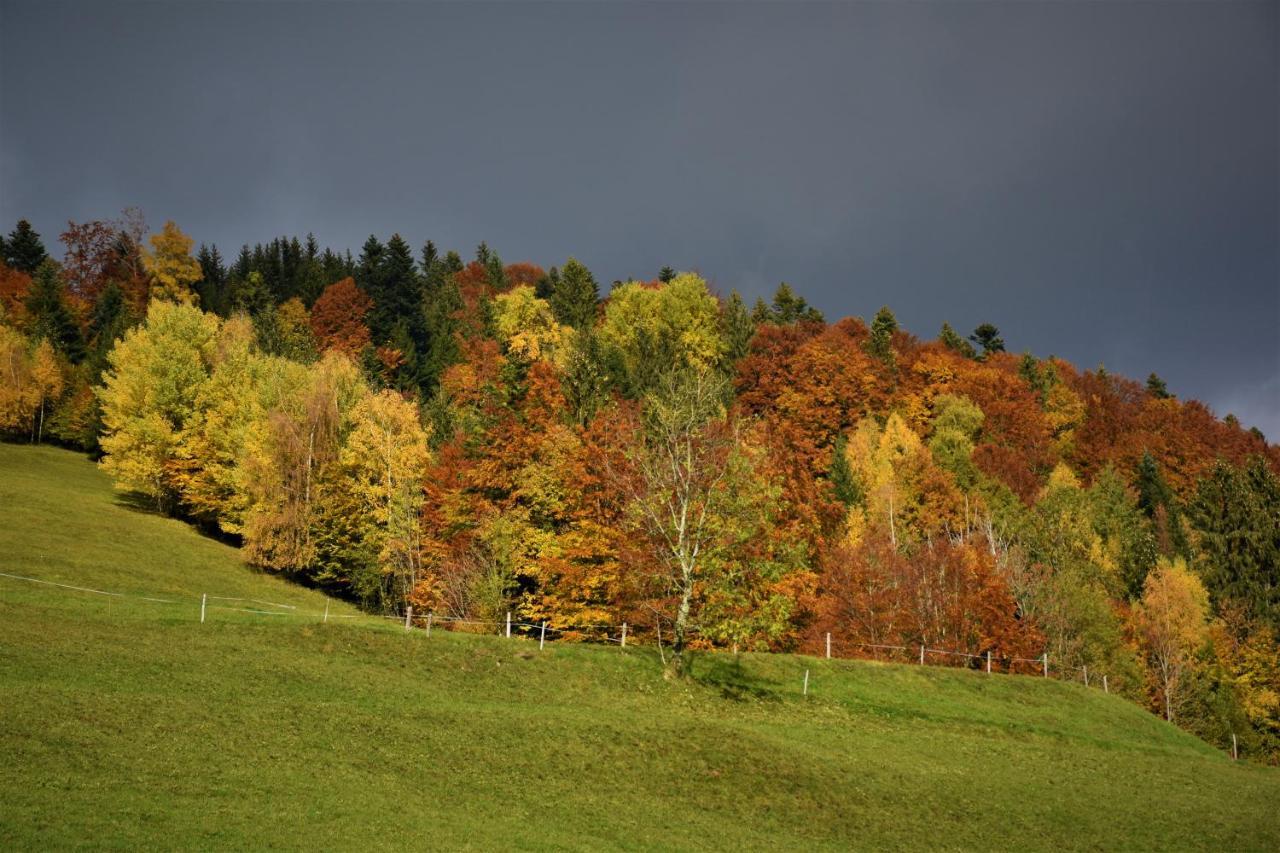 Ferienwohnung Brittenberg Alpaka Schwarzenberg im Bregenzerwald Buitenkant foto