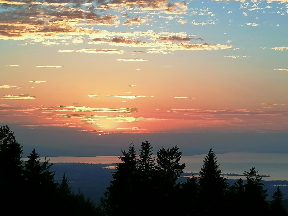 Ferienwohnung Brittenberg Alpaka Schwarzenberg im Bregenzerwald Buitenkant foto