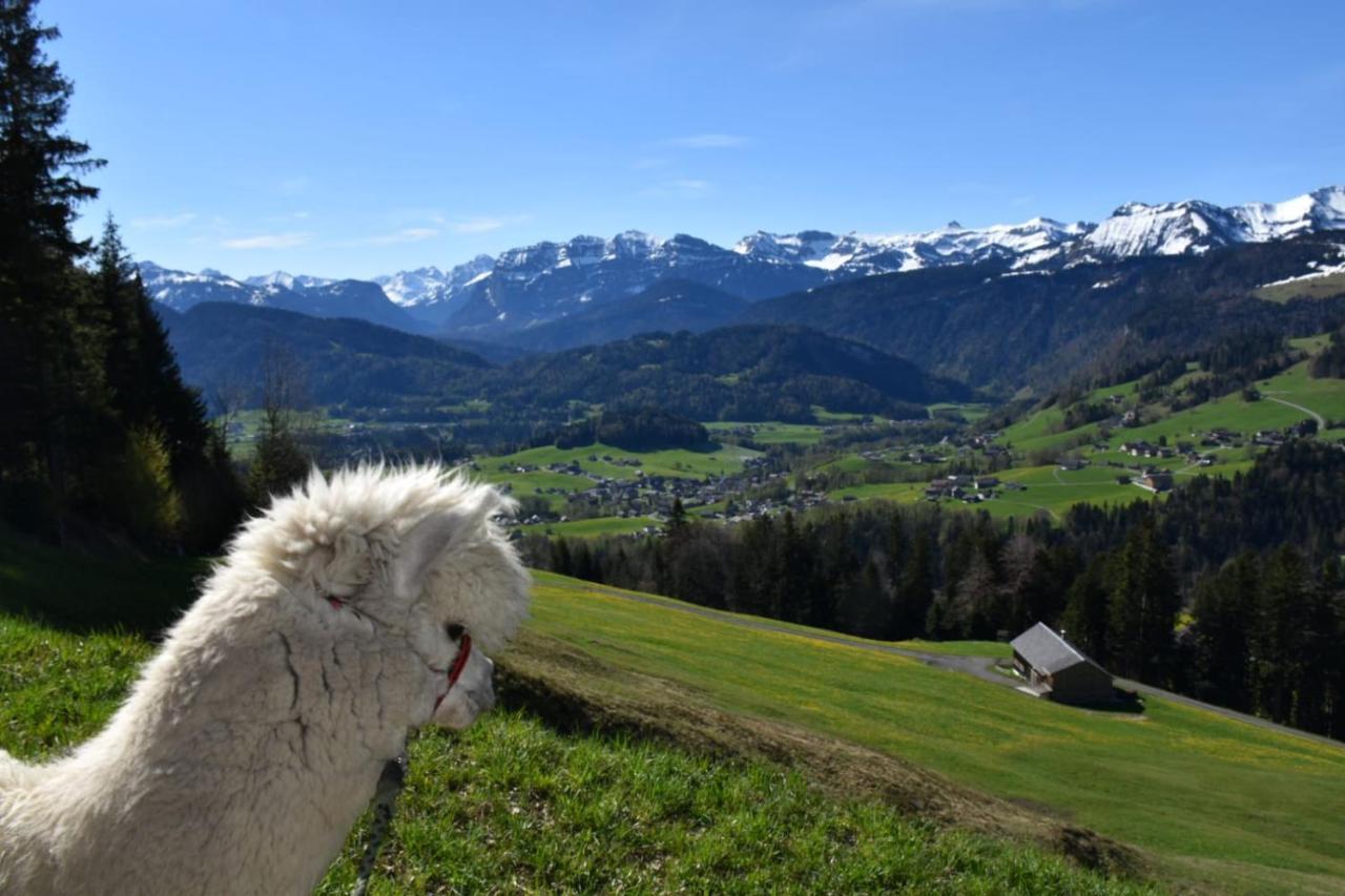 Ferienwohnung Brittenberg Alpaka Schwarzenberg im Bregenzerwald Buitenkant foto